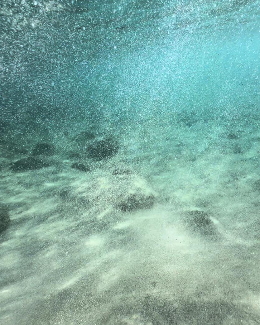 Perch� il mare di Ostia cambia trasparenza da un giorno all�altro